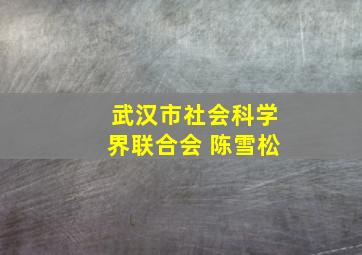 武汉市社会科学界联合会 陈雪松